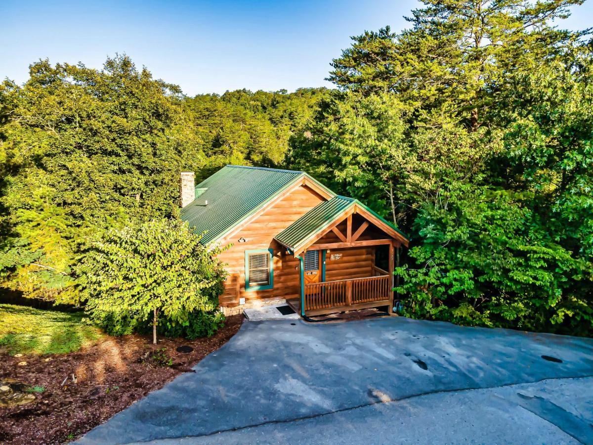 פיג'ן פורג' Cozy Log Cabin!! In Heart Of Pf & Close To The Smokies מראה חיצוני תמונה