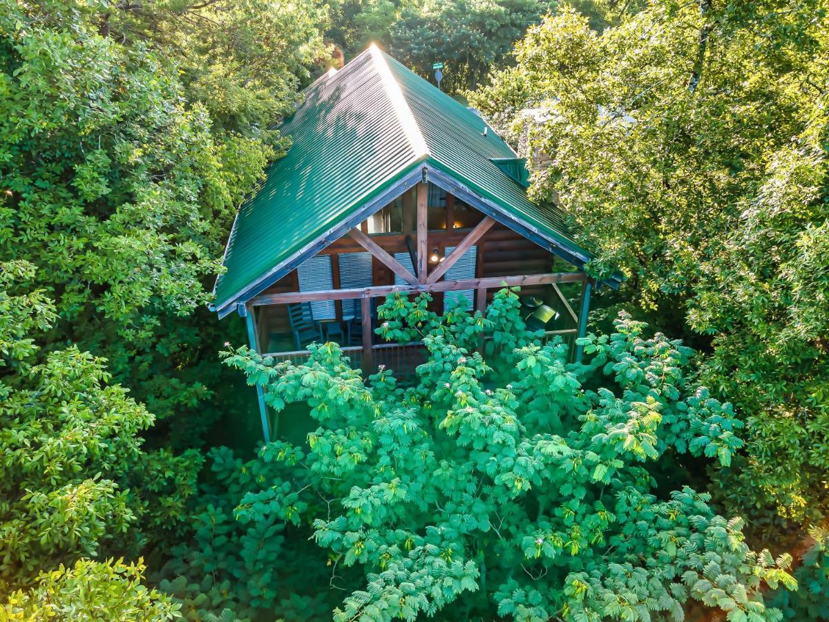 פיג'ן פורג' Cozy Log Cabin!! In Heart Of Pf & Close To The Smokies מראה חיצוני תמונה